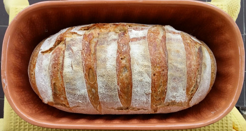 Fehér kovászos kenyér Pataki kenyérsütőben